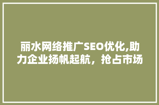 丽水网络推广SEO优化,助力企业扬帆起航，抢占市场先机