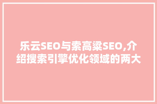 乐云SEO与索高粱SEO,介绍搜索引擎优化领域的两大巨头