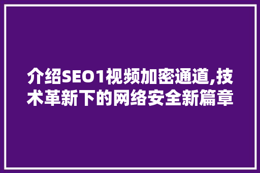 介绍SEO1视频加密通道,技术革新下的网络安全新篇章