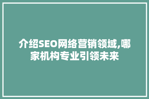 介绍SEO网络营销领域,哪家机构专业引领未来