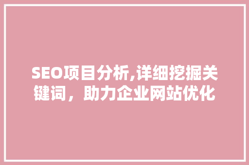 SEO项目分析,详细挖掘关键词，助力企业网站优化