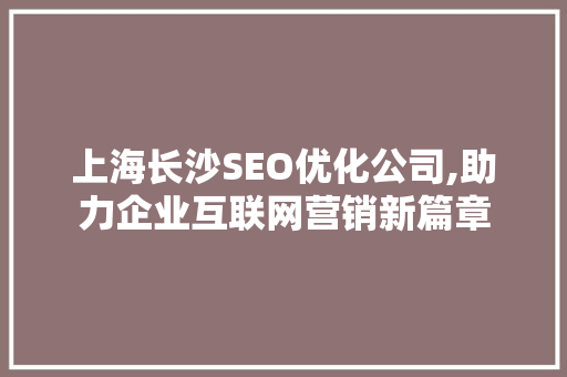上海长沙SEO优化公司,助力企业互联网营销新篇章