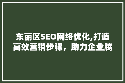 东丽区SEO网络优化,打造高效营销步骤，助力企业腾飞