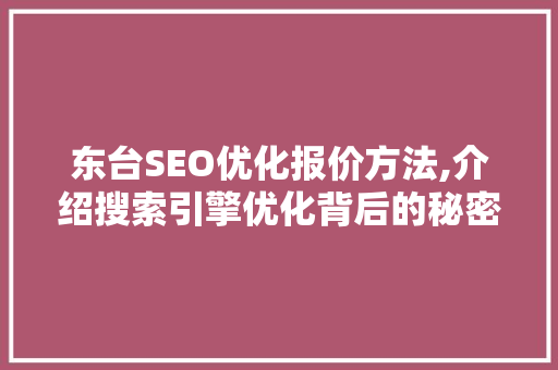 东台SEO优化报价方法,介绍搜索引擎优化背后的秘密