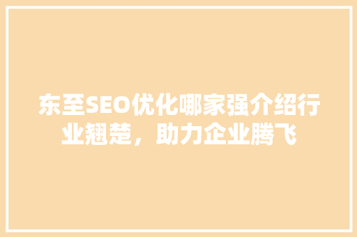 东至SEO优化哪家强介绍行业翘楚，助力企业腾飞