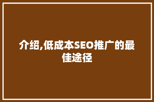 介绍,低成本SEO推广的最佳途径