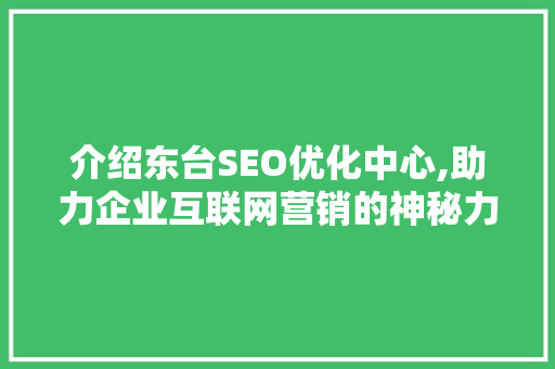 介绍东台SEO优化中心,助力企业互联网营销的神秘力量