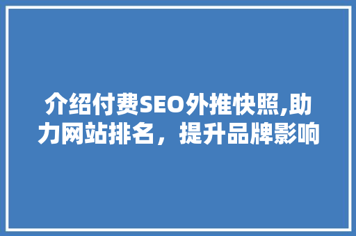 介绍付费SEO外推快照,助力网站排名，提升品牌影响力的秘密武器