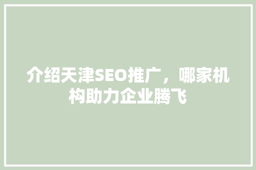 介绍天津SEO推广，哪家机构助力企业腾飞  第1张