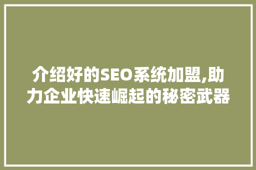 介绍好的SEO系统加盟,助力企业快速崛起的秘密武器  第1张
