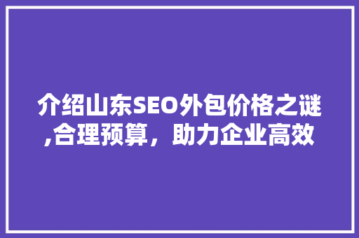 介绍山东SEO外包价格之谜,合理预算，助力企业高效营销