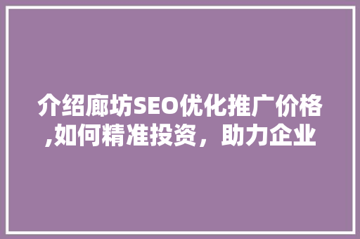 介绍廊坊SEO优化推广价格,如何精准投资，助力企业腾飞
