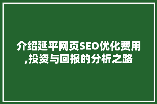 介绍延平网页SEO优化费用,投资与回报的分析之路