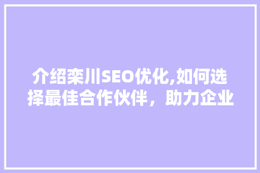 介绍栾川SEO优化,如何选择最佳合作伙伴，助力企业腾飞