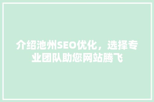介绍池州SEO优化，选择专业团队助您网站腾飞