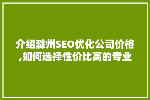 介绍滁州SEO优化公司价格,如何选择性价比高的专业服务