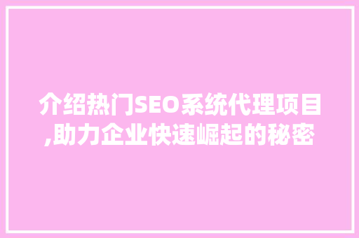 介绍热门SEO系统代理项目,助力企业快速崛起的秘密武器