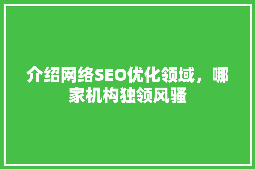 介绍网络SEO优化领域，哪家机构独领风骚