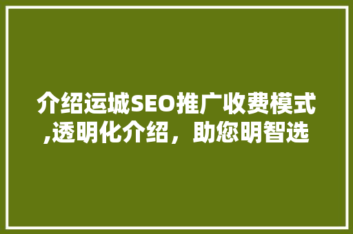 介绍运城SEO推广收费模式,透明化介绍，助您明智选择  第1张