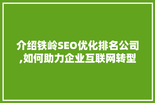介绍铁岭SEO优化排名公司,如何助力企业互联网转型
