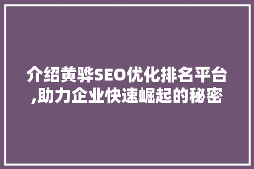 介绍黄骅SEO优化排名平台,助力企业快速崛起的秘密武器