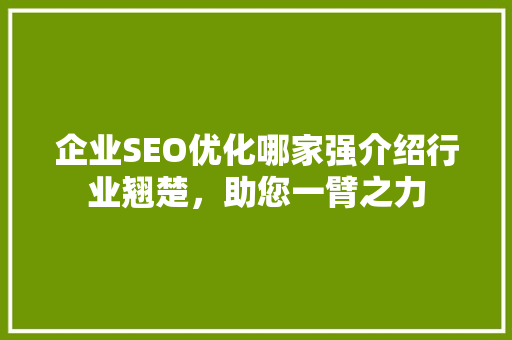 企业SEO优化哪家强介绍行业翘楚，助您一臂之力
