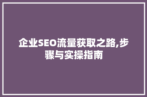 企业SEO流量获取之路,步骤与实操指南