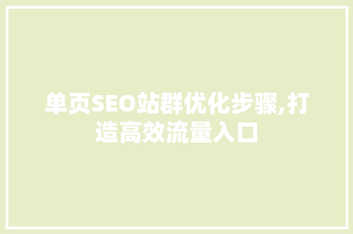 单页SEO站群优化步骤,打造高效流量入口