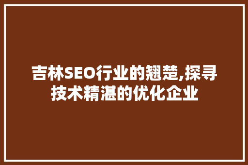 吉林SEO行业的翘楚,探寻技术精湛的优化企业  第1张