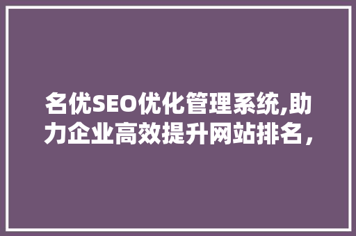 名优SEO优化管理系统,助力企业高效提升网站排名，实现互联网营销新突破