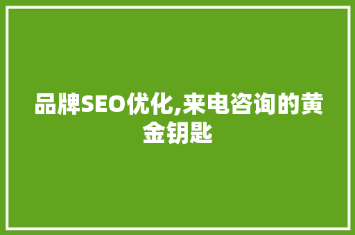 品牌SEO优化,来电咨询的黄金钥匙