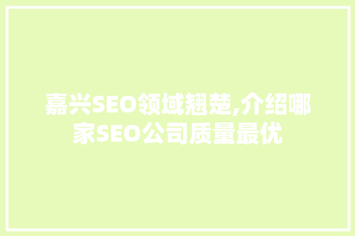 嘉兴SEO领域翘楚,介绍哪家SEO公司质量最优