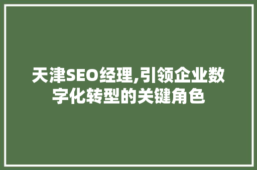 天津SEO经理,引领企业数字化转型的关键角色