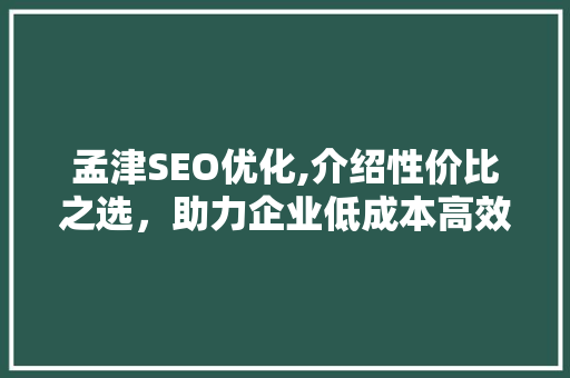 孟津SEO优化,介绍性价比之选，助力企业低成本高效率营销