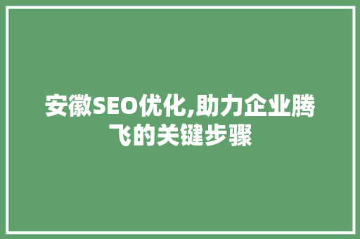 安徽SEO优化,助力企业腾飞的关键步骤