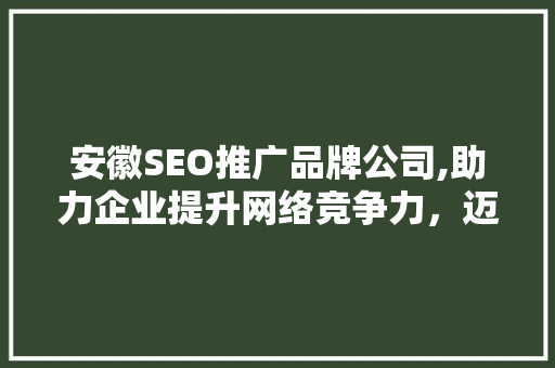 安徽SEO推广品牌公司,助力企业提升网络竞争力，迈向数字时代新高峰