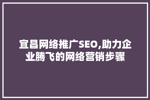 宜昌网络推广SEO,助力企业腾飞的网络营销步骤