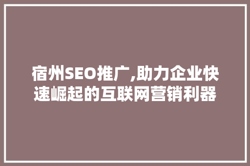宿州SEO推广,助力企业快速崛起的互联网营销利器