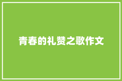 山东SEO推广厂家报价介绍,性价比之选，助力企业网络营销腾飞