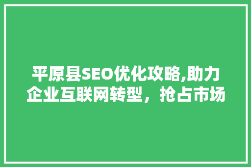 平原县SEO优化攻略,助力企业互联网转型，抢占市场先机
