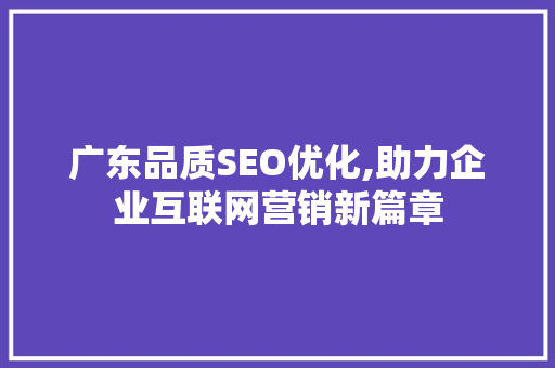 广东品质SEO优化,助力企业互联网营销新篇章