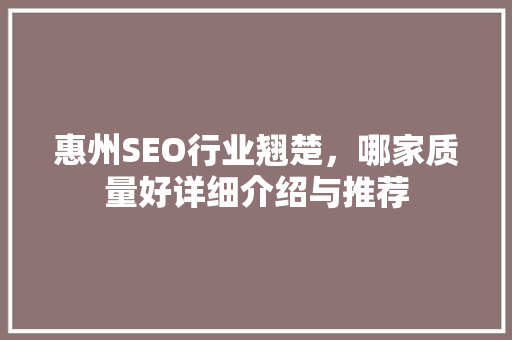 惠州SEO行业翘楚，哪家质量好详细介绍与推荐