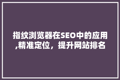 指纹浏览器在SEO中的应用,精准定位，提升网站排名