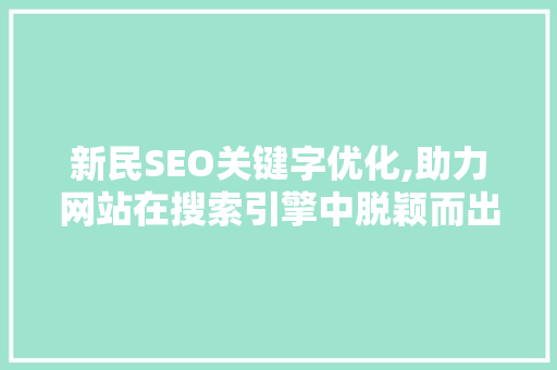 新民SEO关键字优化,助力网站在搜索引擎中脱颖而出