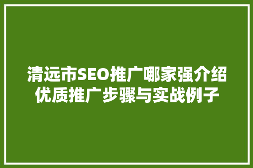 清远市SEO推广哪家强介绍优质推广步骤与实战例子
