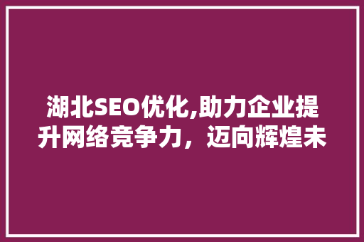 湖北SEO优化,助力企业提升网络竞争力，迈向辉煌未来