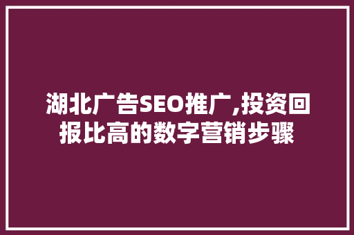 湖北广告SEO推广,投资回报比高的数字营销步骤
