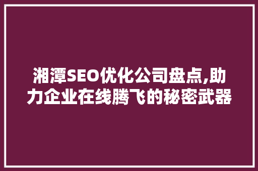 湘潭SEO优化公司盘点,助力企业在线腾飞的秘密武器