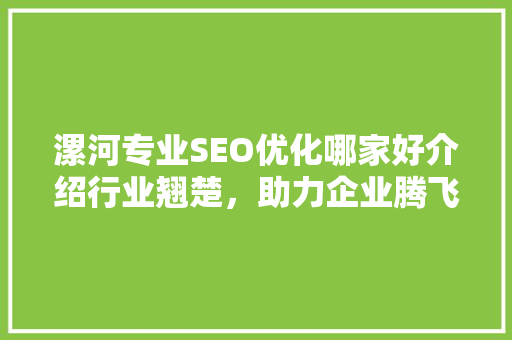 漯河专业SEO优化哪家好介绍行业翘楚，助力企业腾飞