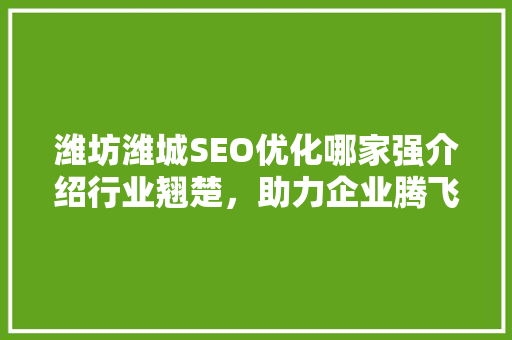 潍坊潍城SEO优化哪家强介绍行业翘楚，助力企业腾飞